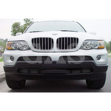 Front Chrome Grille Trim for 1999-2006 BMW X5